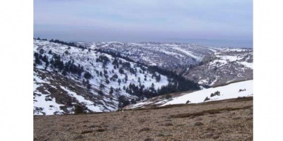 View from the Pico del Buitre